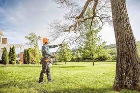 How Our Tree Care Process Works  in  Redgranite, WI